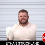 Ethan Strickland mugshot