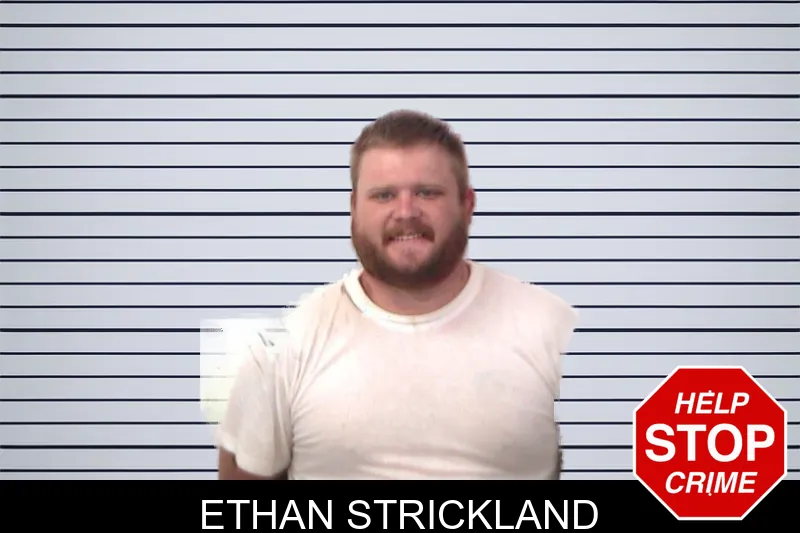 Ethan Strickland mugshot – Emanuel County , Georgia Ethan Strickland mugshot