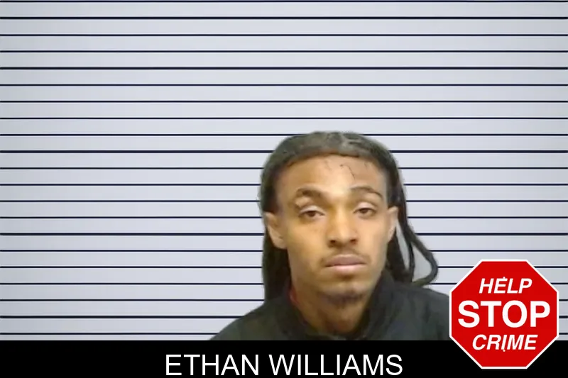 Ethan Williams mugshot