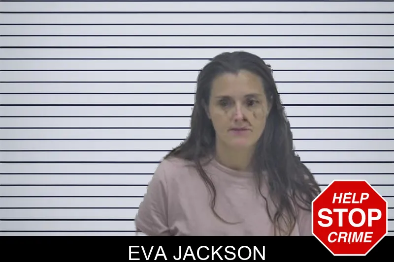 Eva Jackson mugshot – Coffee County , Georgia Eva Jackson mugshot