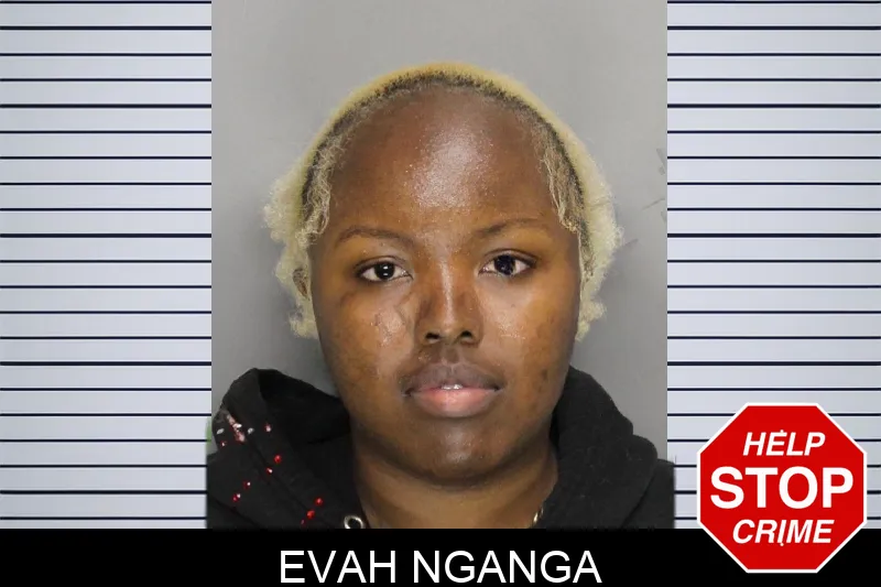 Evah Nganga mugshot – Cobb County , Georgia Evah Nganga mugshot