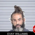 Evay Williams mugshot – Lowndes County , Georgia Evay Williams mugshot