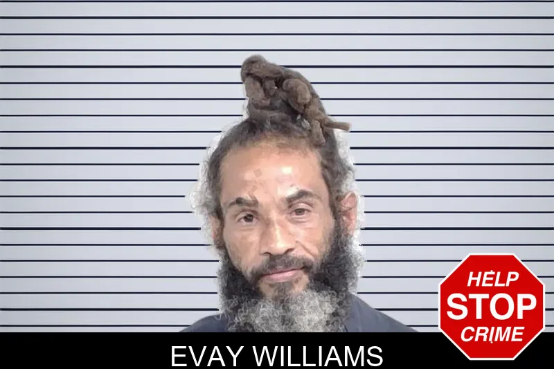 Evay Williams mugshot – Lowndes County , Georgia Evay Williams mugshot