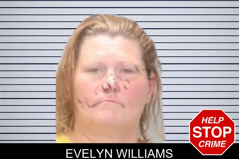 Evelyn Williams mugshot