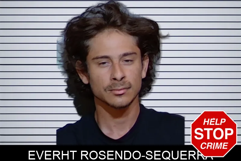 Everht Rosendo-Sequerra mugshot – Glynn County , Georgia Everht Rosendo-Sequerra mugshot