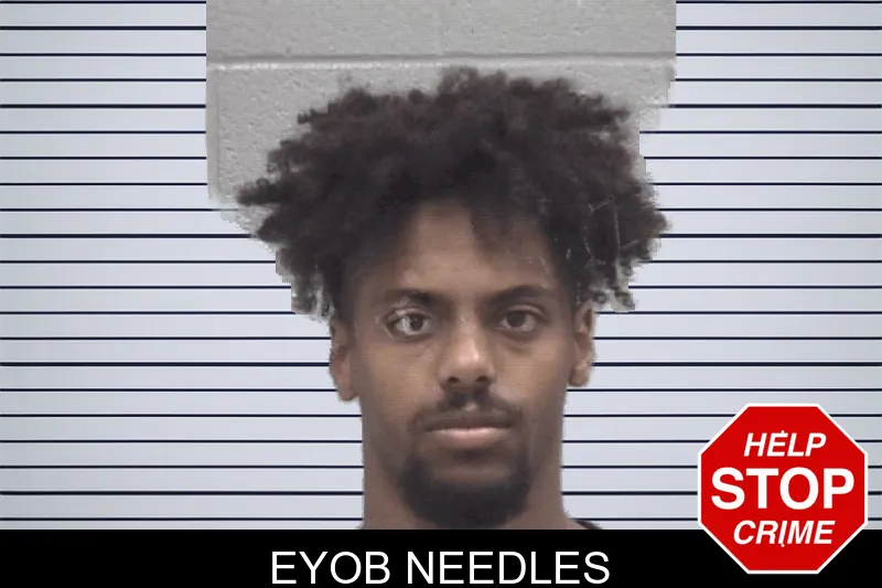 Eyob Needles mugshot
