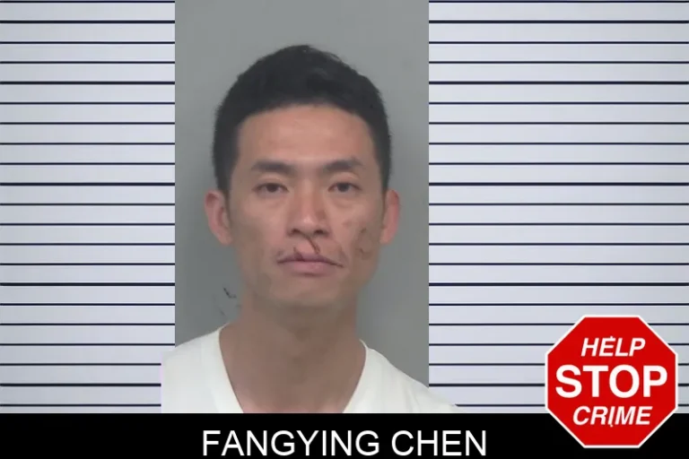 Fangying Chen