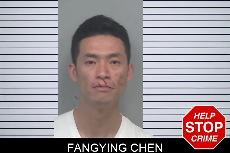 Fangying Chen mugshot
