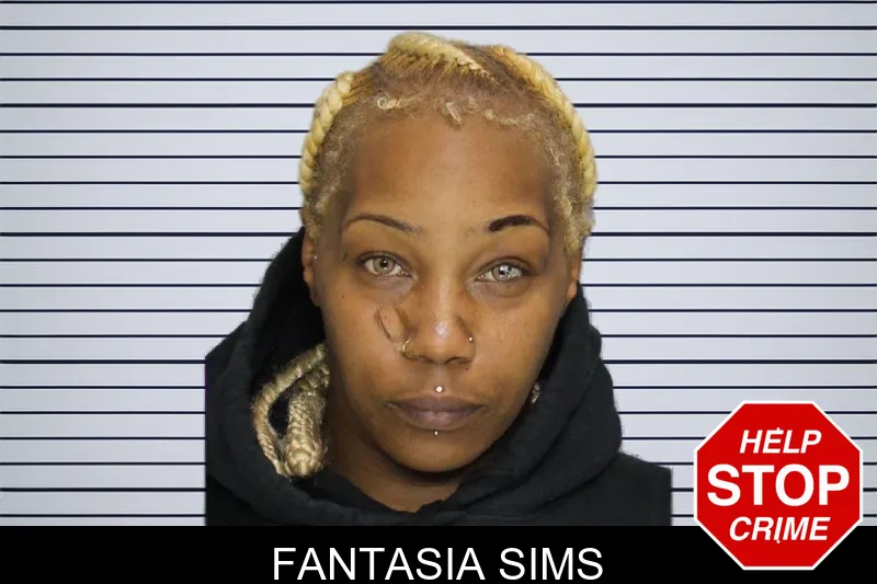 Fantasia Sims mugshot