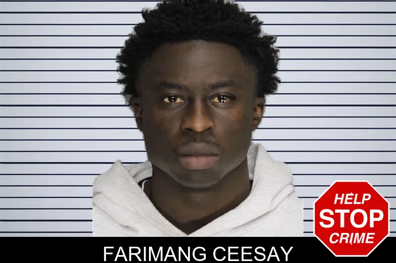 Farimang Ceesay mugshot