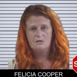 Felicia Cooper mugshot – Whitfield County , Georgia Felicia Cooper mugshot