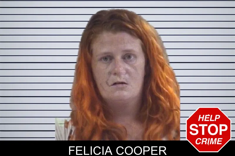 Felicia Cooper mugshot