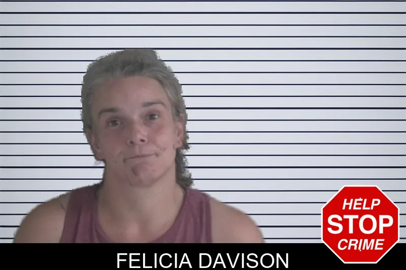 Felicia Davison mugshot – Brantley County , Georgia Felicia Davison mugshot