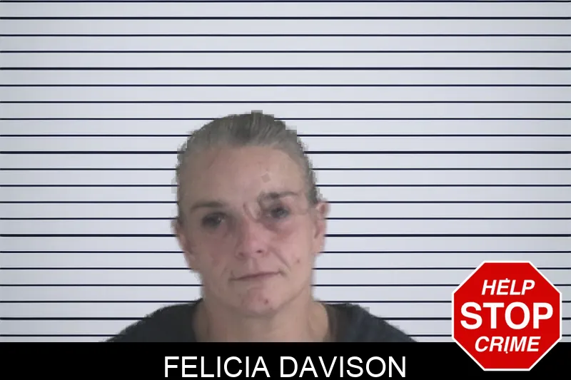 Felicia Davison mugshot