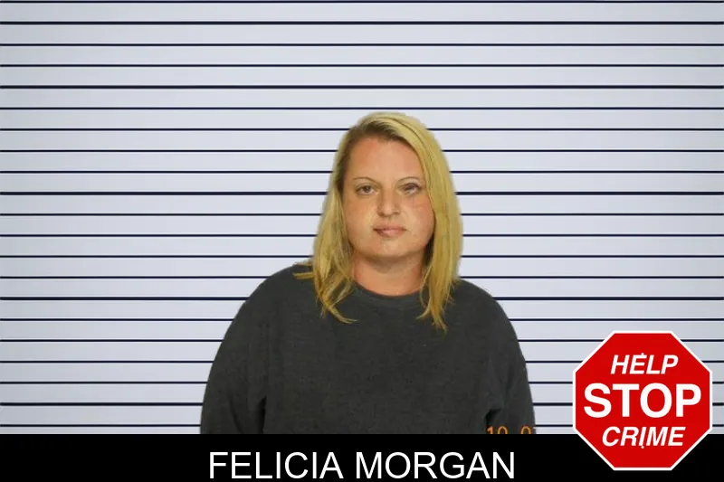 Felicia Morgan mugshot – Hall County , Georgia Felicia Morgan mugshot