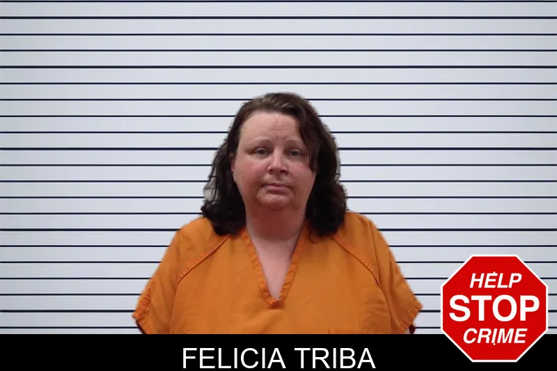 Felicia Triba mugshot – Pickens County , Georgia Felicia Triba mugshot