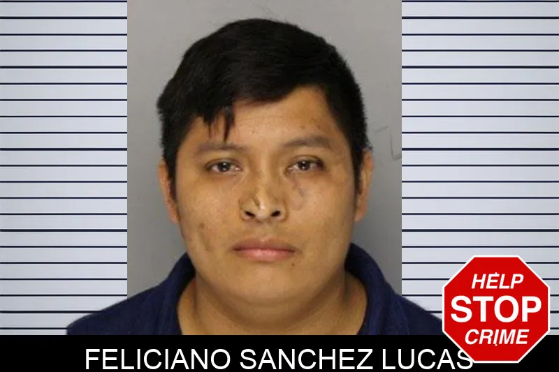 Feliciano Sanchez Lucas mugshot – Hall County , Georgia Feliciano Sanchez Lucas mugshot