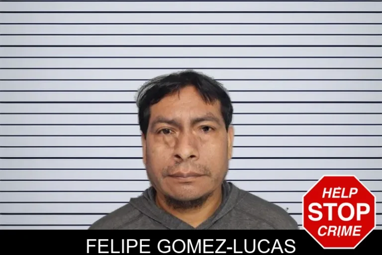 Felipe Gomez-Lucas mugshot – Hall County , Georgia Felipe Gomez-Lucas