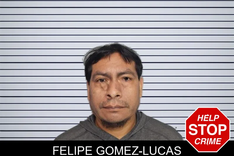 Felipe Gomez-Lucas mugshot – Hall County , Georgia Felipe Gomez-Lucas mugshot