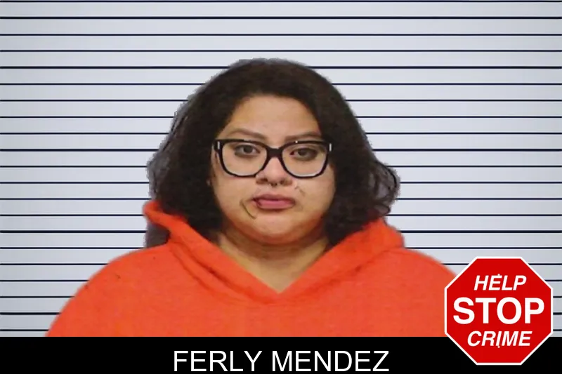 Ferly Mendez mugshot – White County , Georgia Ferly Mendez mugshot