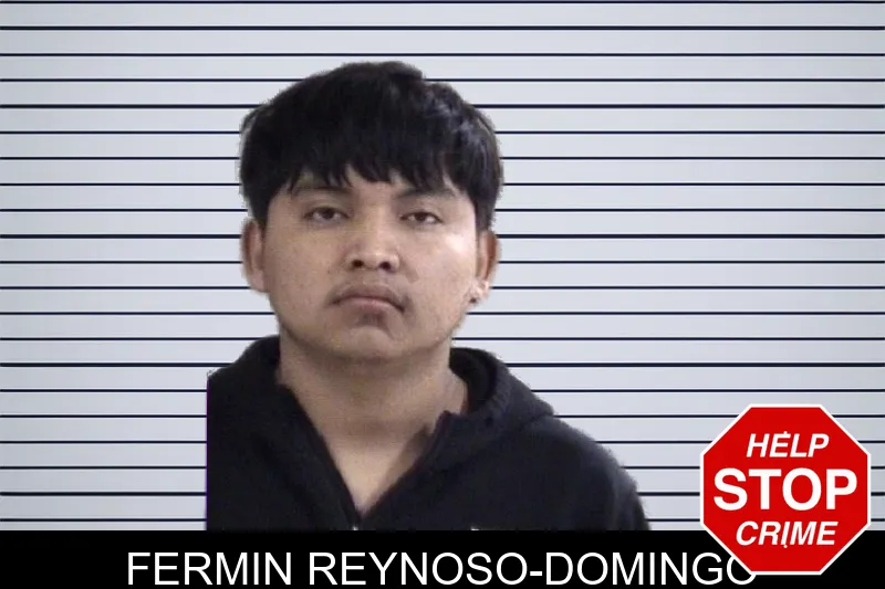 Fermin Reynoso-Domingo mugshot