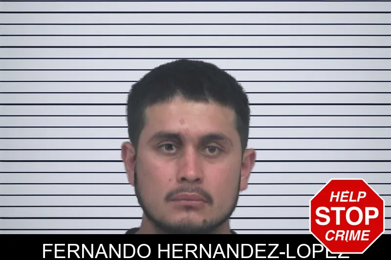 Fernando Hernandez-Lopez mugshot