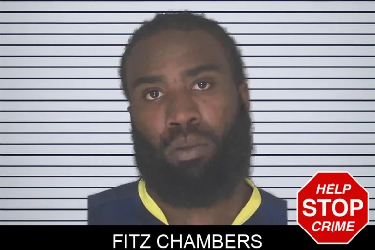 Fitz Chambers
