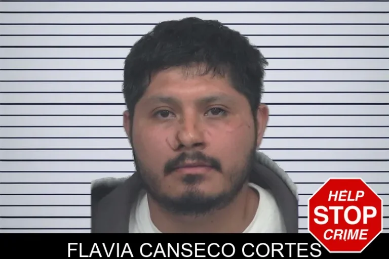 Flavia Canseco Cortes mugshot – Gwinnett County , Georgia Flavia Canseco Cortes