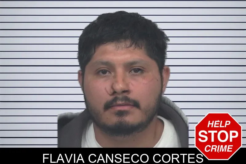 Flavia Canseco Cortes mugshot