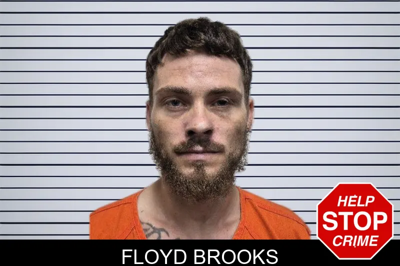 Floyd Brooks mugshot – Dade County , Georgia Floyd Brooks mugshot