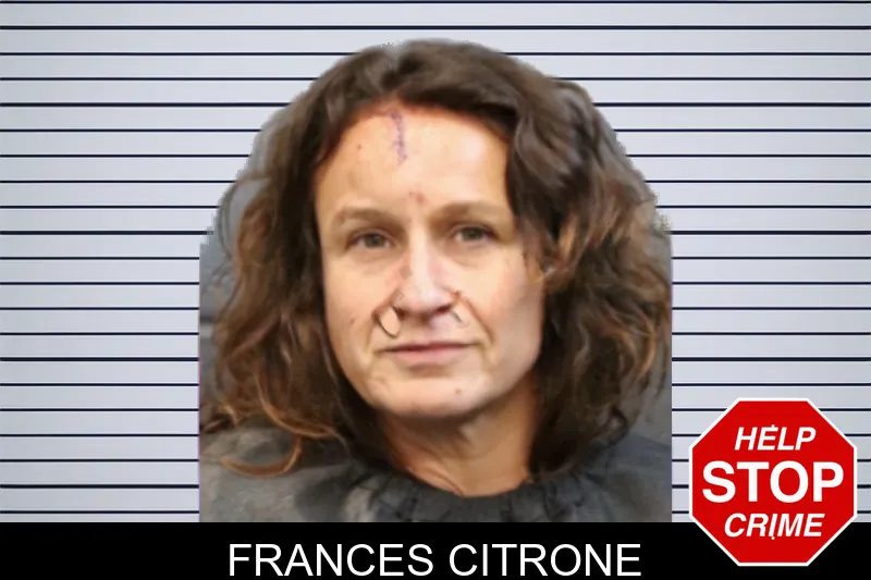 Frances Citrone mugshot – Forsyth County , Georgia Frances Citrone mugshot