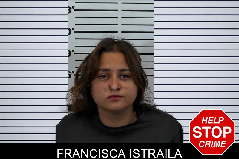 Francisca Istraila mugshot – Hart County , Georgia Francisca Istraila mugshot