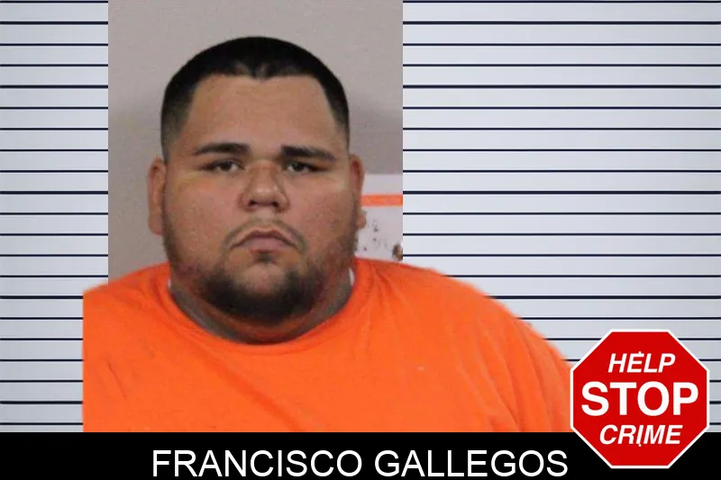 Francisco Gallegos mugshot