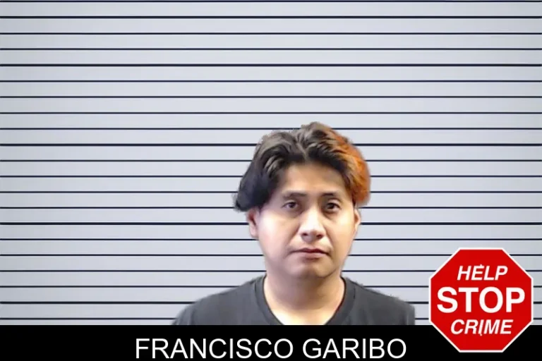 Francisco Garibo