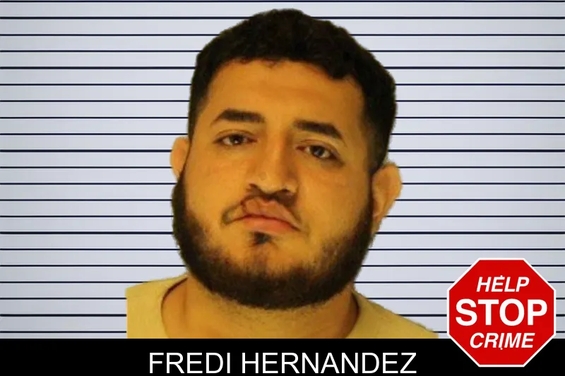 Fredi Hernandez mugshot