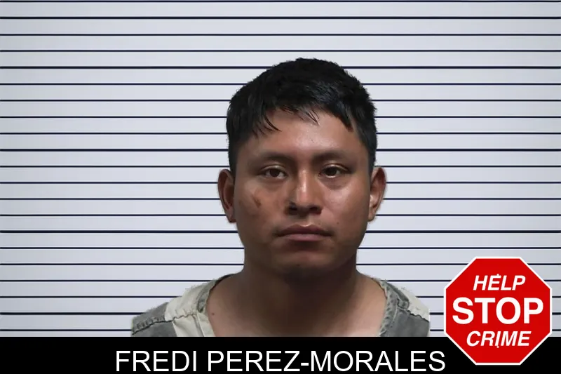 Fredi Perez-Morales mugshot