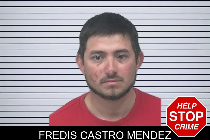 Fredis Castro Mendez mugshot
