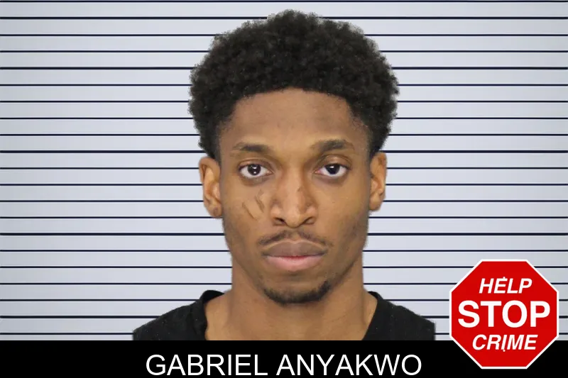 Gabriel Anyakwo mugshot – Cobb County , Georgia Gabriel Anyakwo mugshot