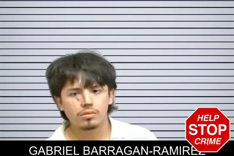 Gabriel Barragan-Ramirez