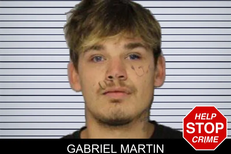 Gabriel Martin mugshot – Hall County , Georgia Gabriel Martin mugshot
