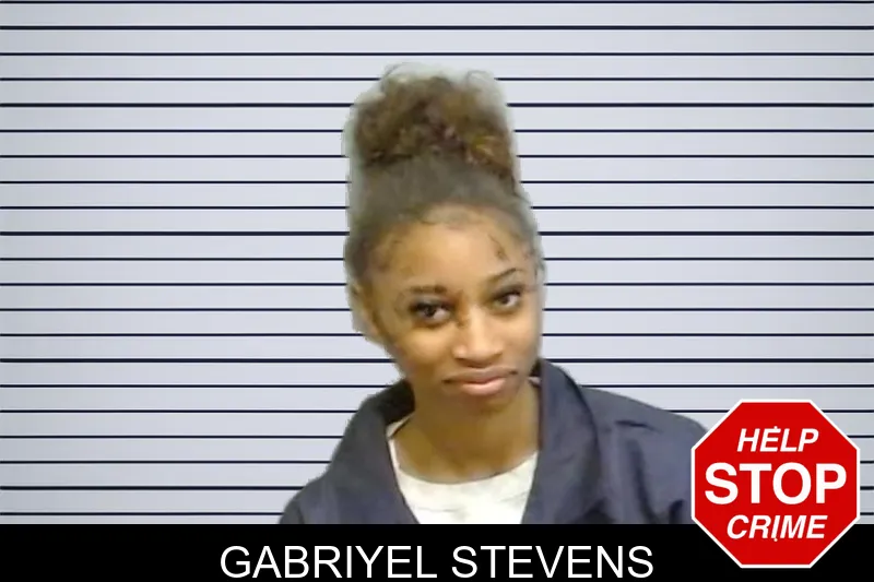 Gabriyel Stevens mugshot