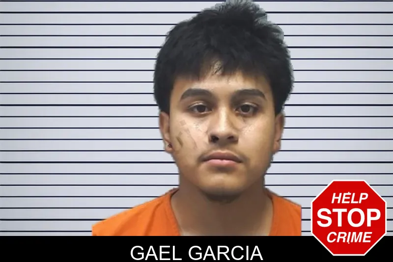 Gael Garcia mugshot – Cherokee County , Georgia Gael Garcia mugshot
