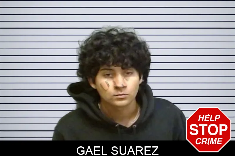 Gael Suarez mugshot