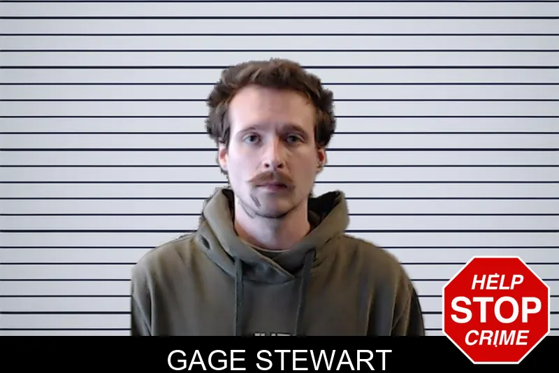 Gage Stewart mugshot