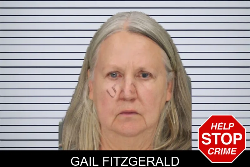 Gail Fitzgerald mugshot – Cobb County , Georgia Gail Fitzgerald mugshot