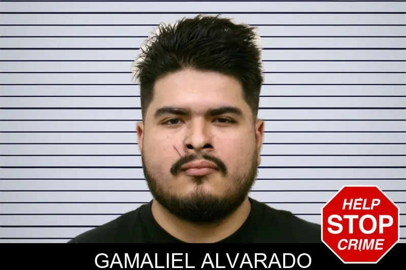 Gamaliel Alvarado mugshot – Bulloch County , Georgia Gamaliel Alvarado mugshot