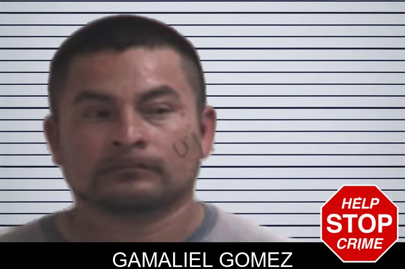 Gamaliel Gomez mugshot – Henry County , Georgia Gamaliel Gomez mugshot