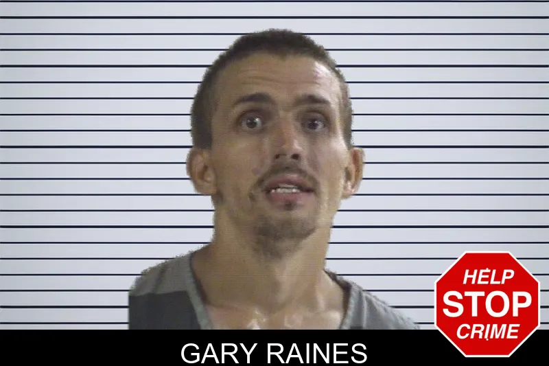 Gary Raines mugshot
