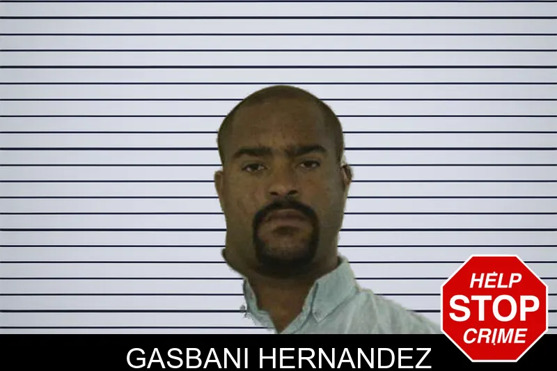 Gasbani Hernandez mugshot