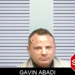 Gavin Abadi mugshot